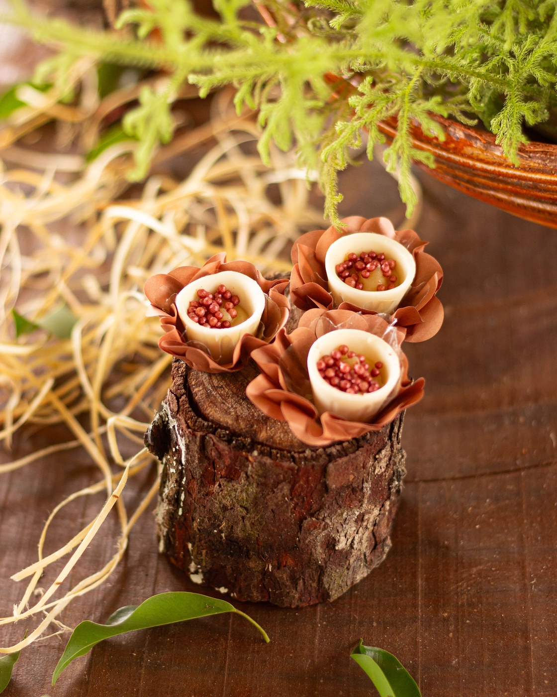 Sabores em Foco: A Arte de Fotografar Gastronomia